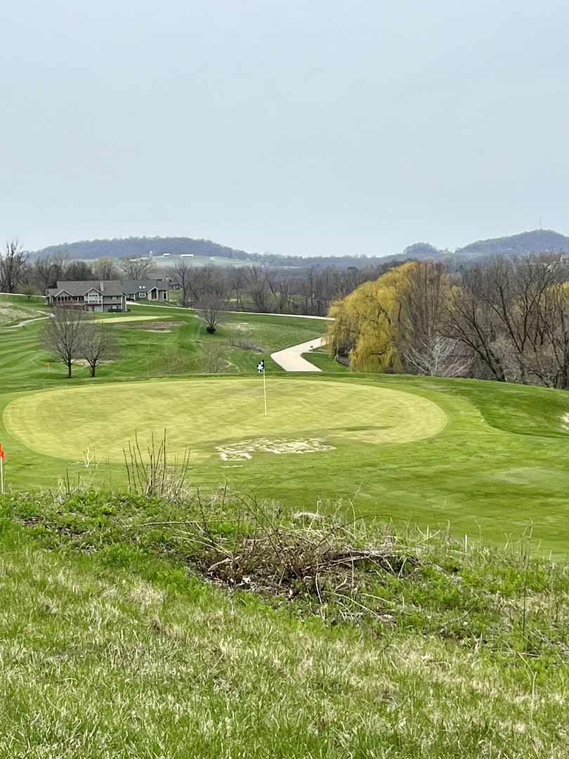 39 Shenandoah Drive Galena, IL 61036 - Photo 16 of 20 a view of a field with an ocean