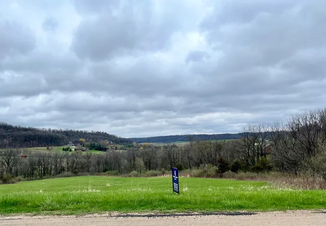 a view of a entertaining space with large trees