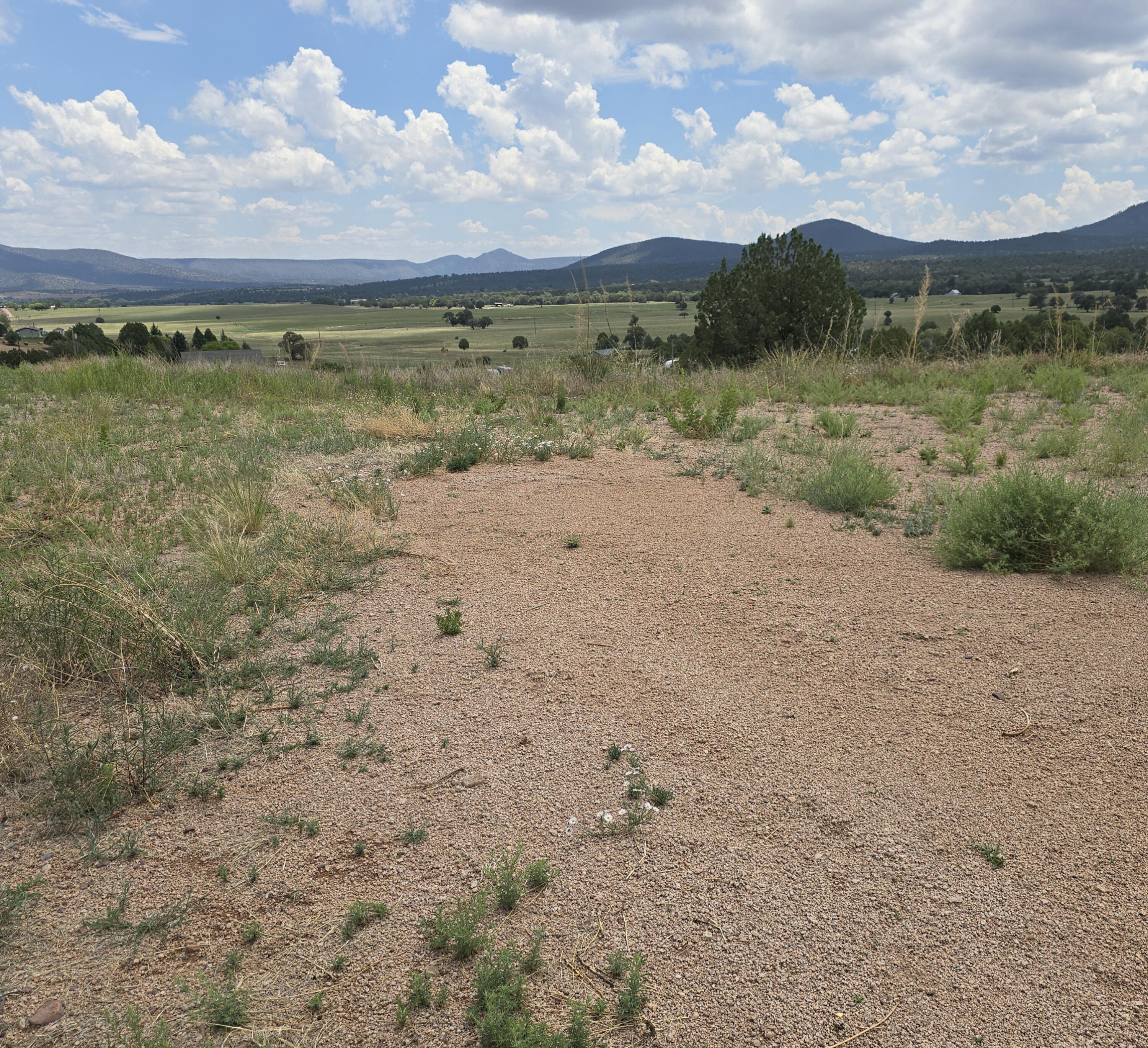 410 Rolling Hills Road Young, AZ 85554 - Photo 4 of 8