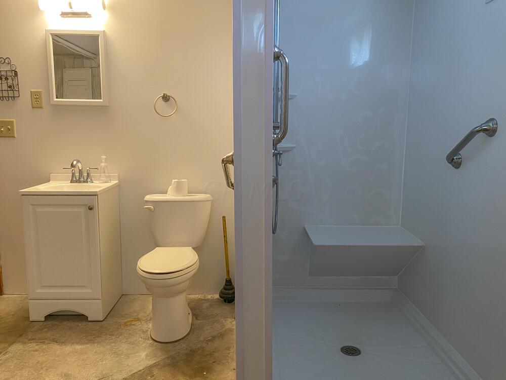 3765 Bell Station Road Circleville, OH 43113 - Photo 23 of 58 2nd full bath in basement with walk in shower