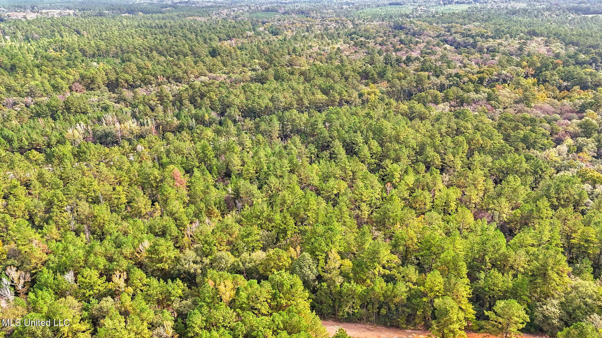 612 Highway 612 Lucedale, MS 39452 - Photo 11 of 37 008