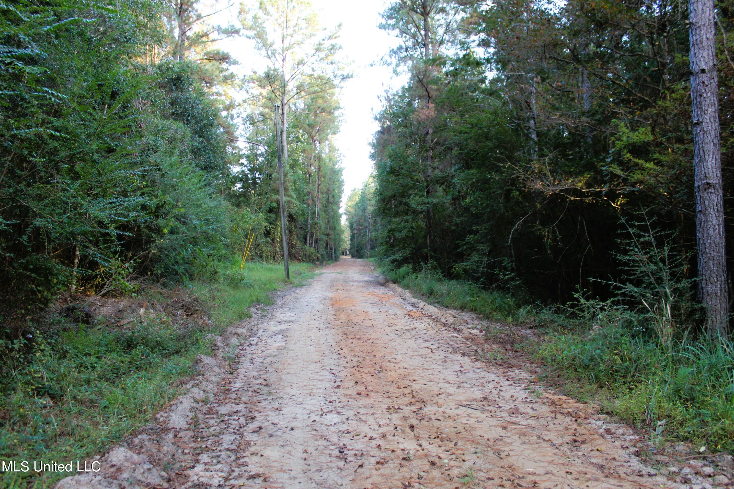 612 Highway 612 Lucedale, MS 39452 - Photo 15 of 37 IMG_9921