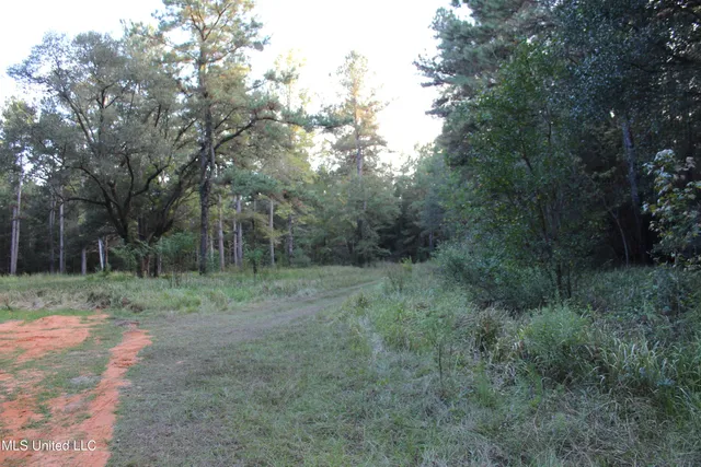 $379,000 | 612 Highway 612, Lucedale, MS 39452