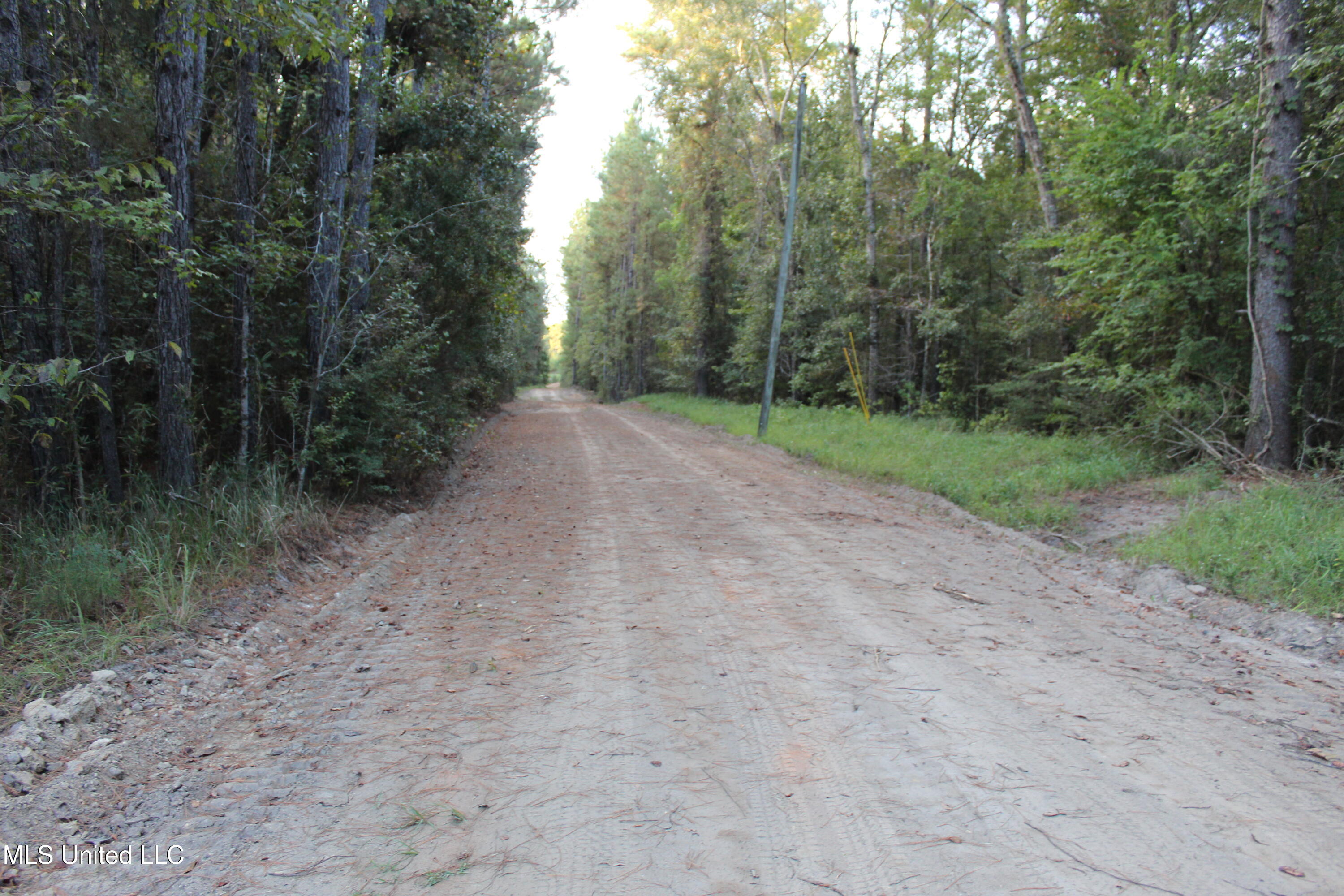 612 Highway 612 Lucedale, MS 39452 - Photo 19 of 37 IMG_9925