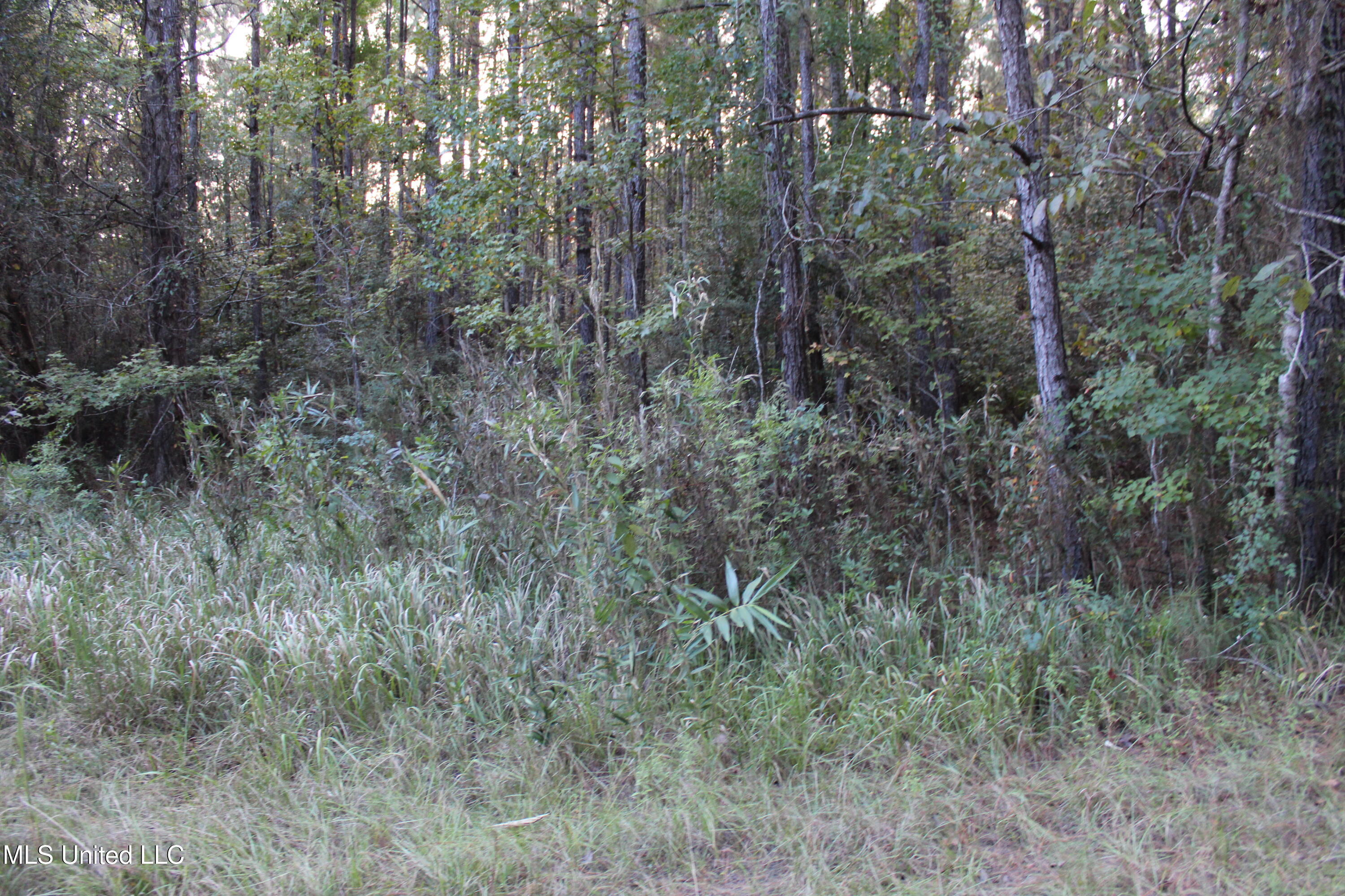 612 Highway 612 Lucedale, MS 39452 - Photo 20 of 37 IMG_9926