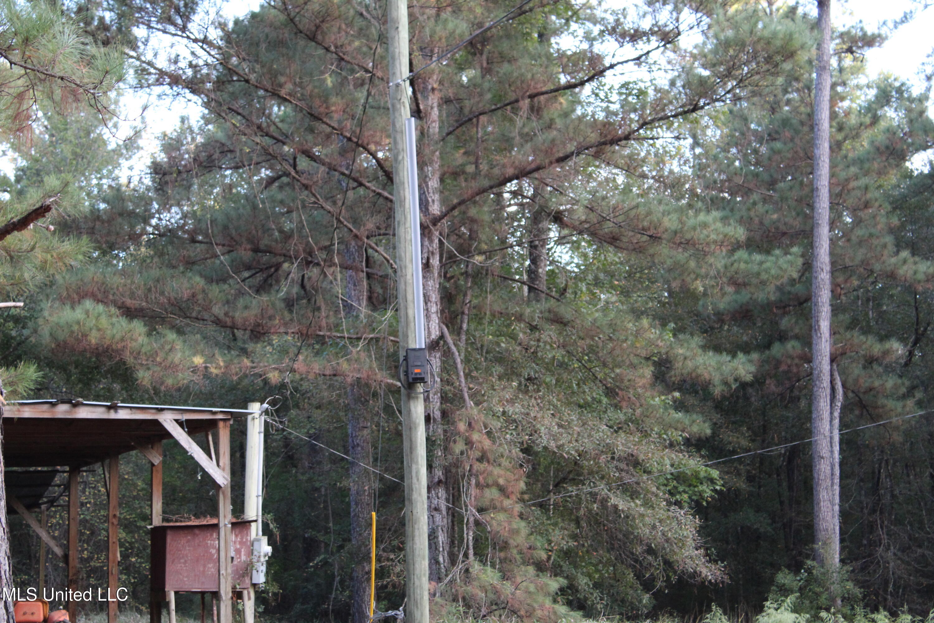 612 Highway 612 Lucedale, MS 39452 - Photo 21 of 37 IMG_9927