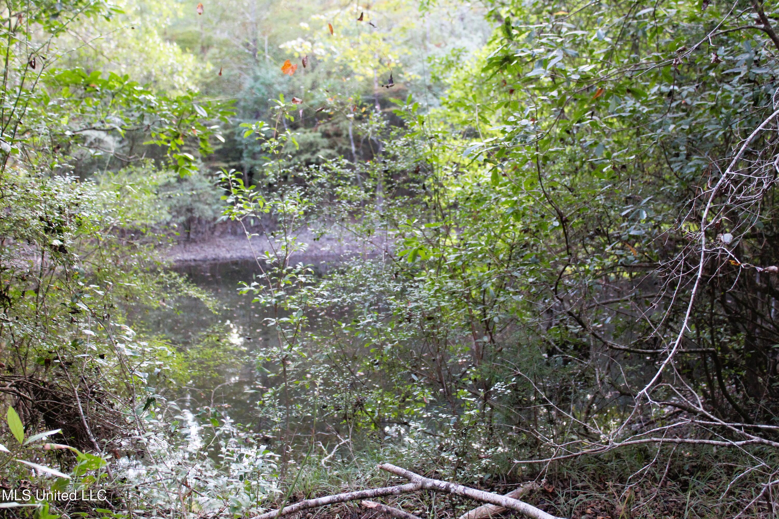 612 Highway 612 Lucedale, MS 39452 - Photo 24 of 37 IMG_9931