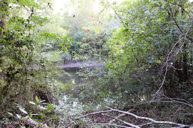 $379,000 | 612 Highway 612, Lucedale, MS 39452