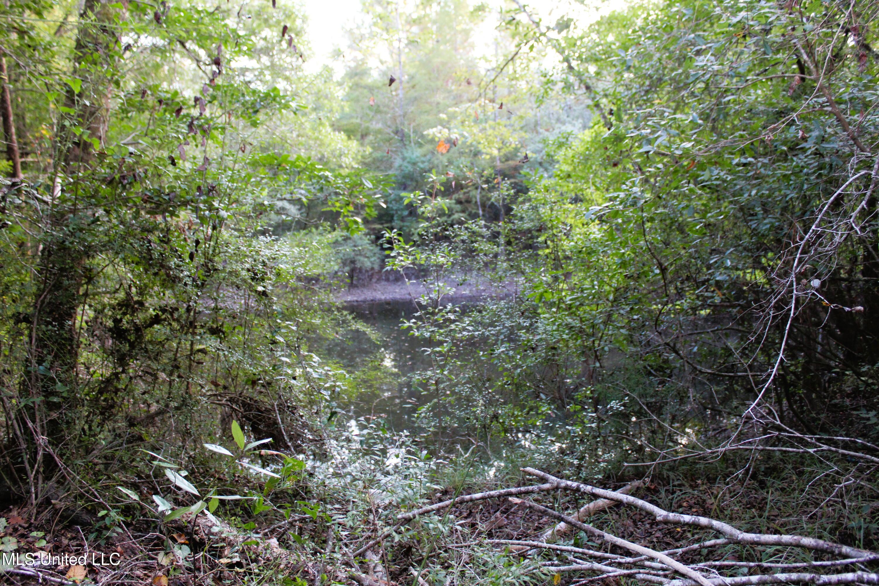 612 Highway 612 Lucedale, MS 39452 - Photo 26 of 37 IMG_9933