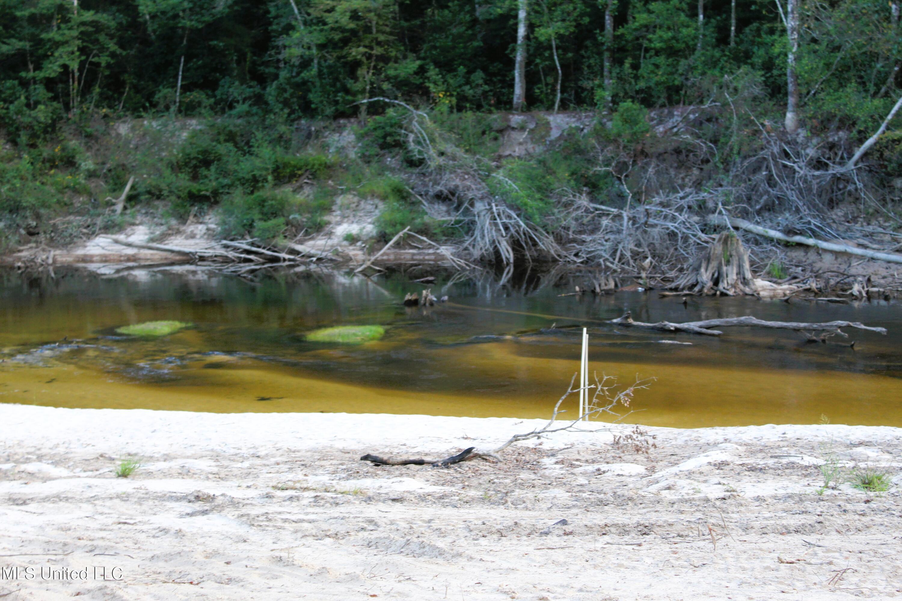 612 Highway 612 Lucedale, MS 39452 - Photo 32 of 37 IMG_9941