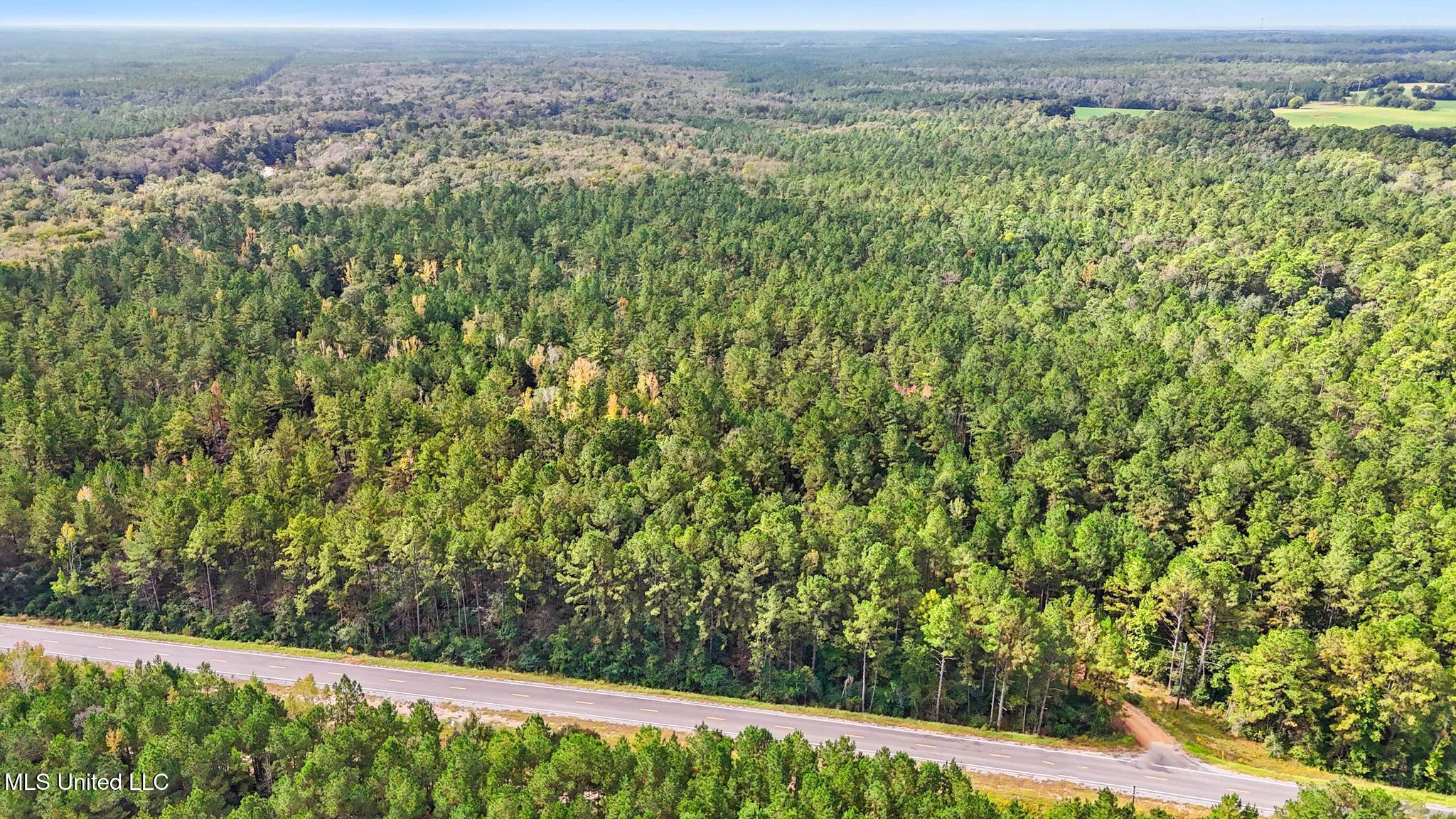 612 Highway 612 Lucedale, MS 39452 - Photo 5 of 37 002