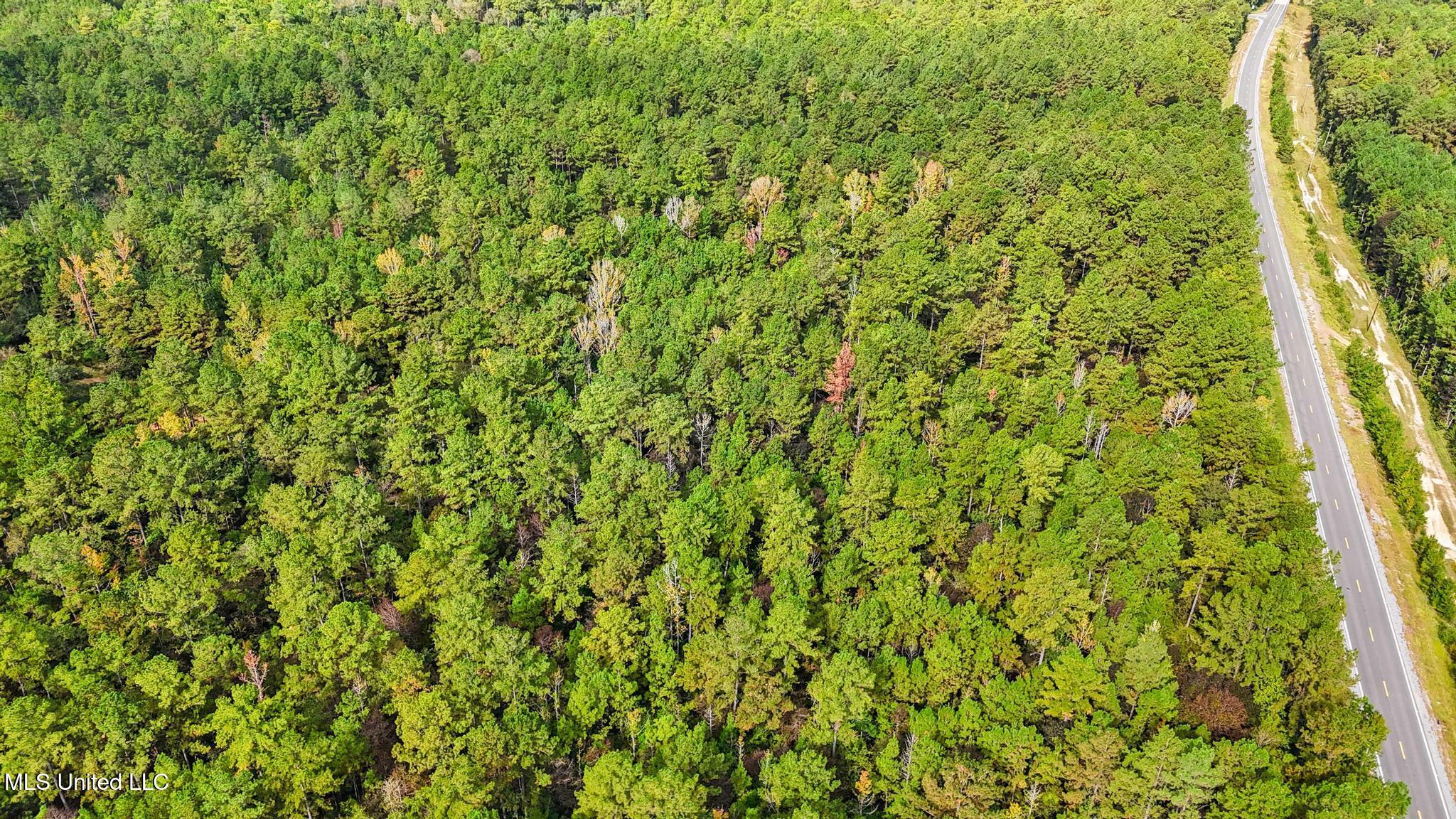 612 Highway 612 Lucedale, MS 39452 - Photo 7 of 37 004