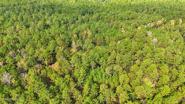 $379,000 | 612 Highway 612, Lucedale, MS 39452