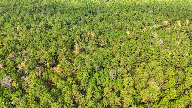 $379,000 | 612 Highway 612, Lucedale, MS 39452