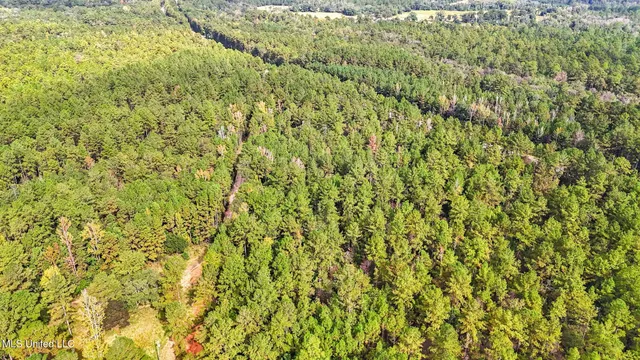 $379,000 | 612 Highway 612, Lucedale, MS 39452