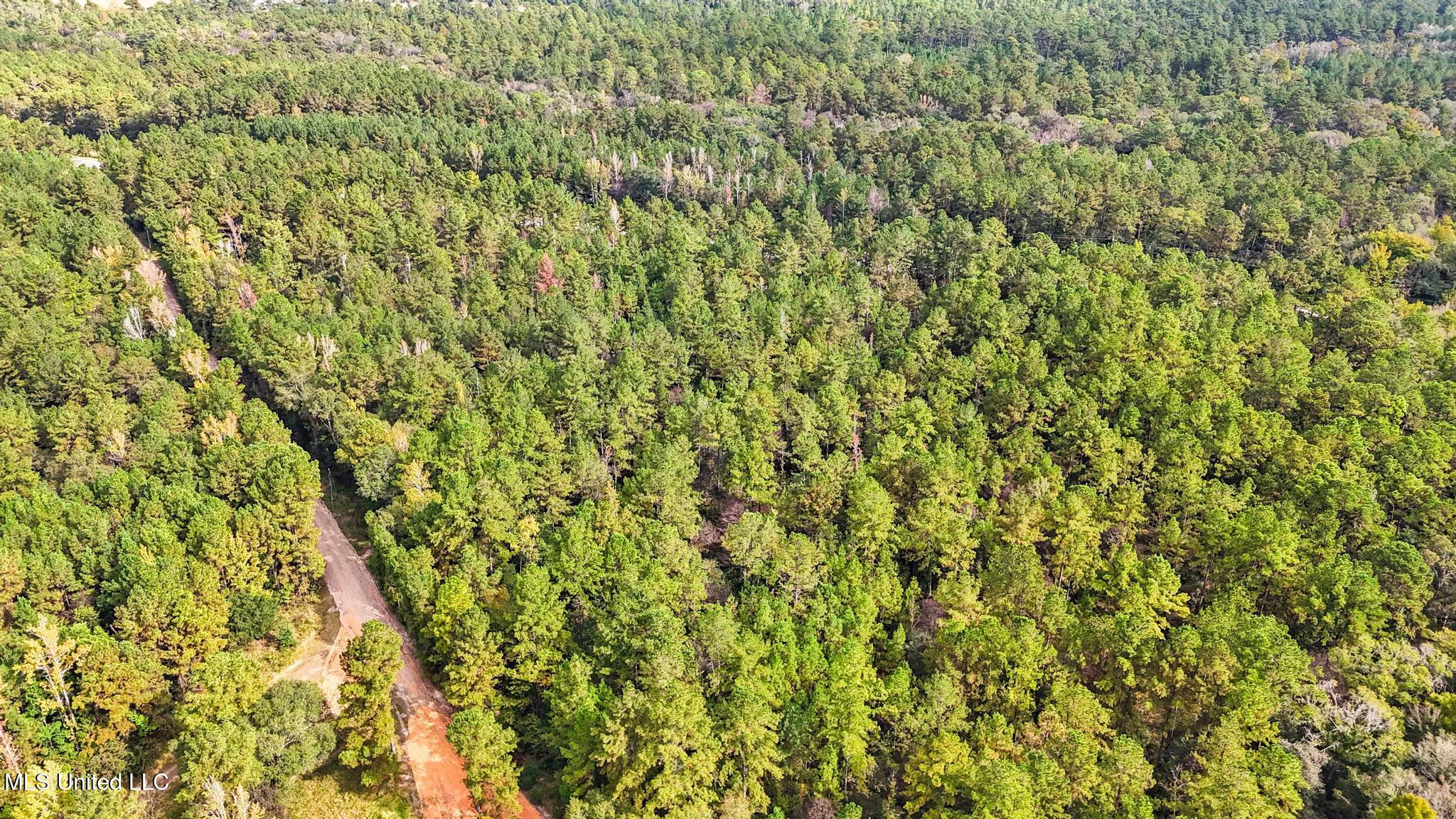 612 Highway 612 Lucedale, MS 39452 - Photo 10 of 37 007