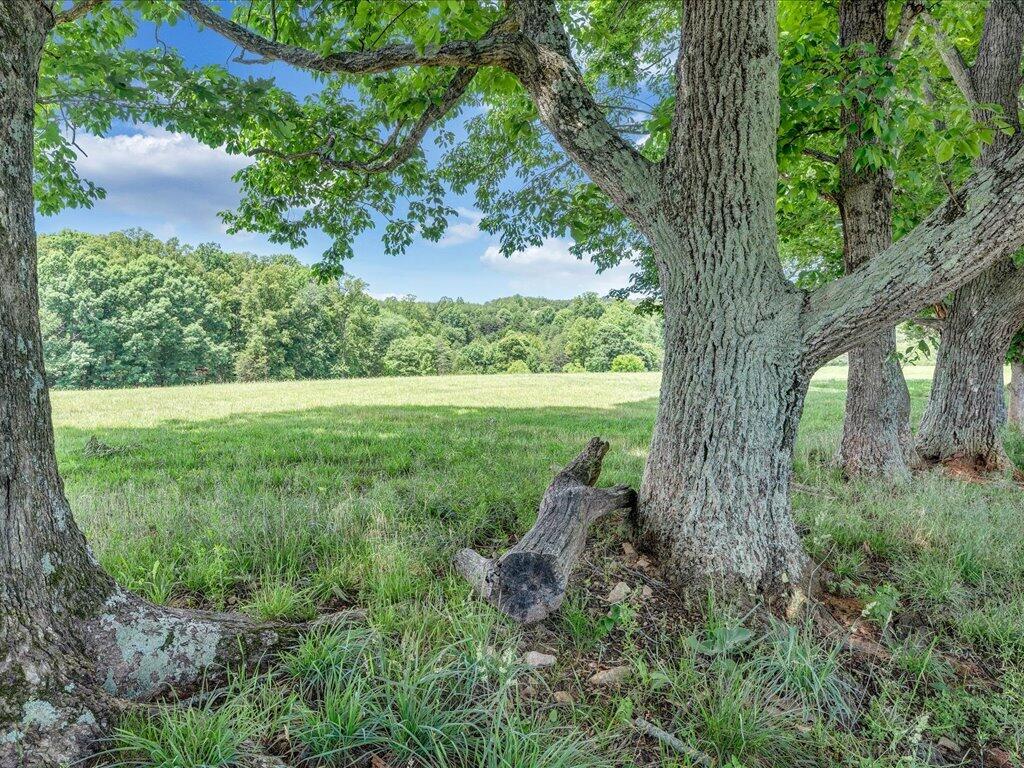 247 Powell Road Ridgeway, VA 24148 - Photo 50 of 90 50-MIB07186