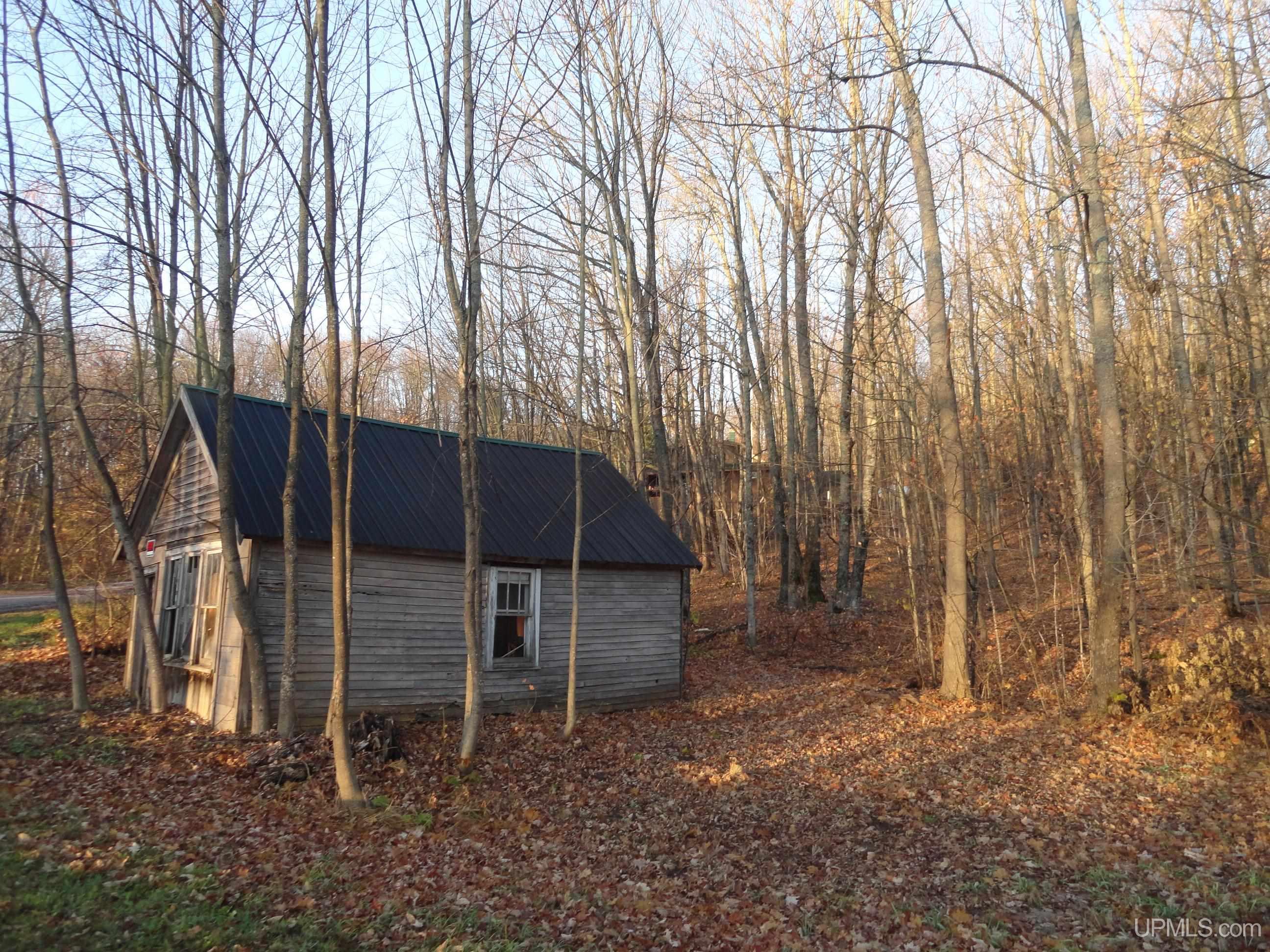 17524 Victoria Dam Road Rockland, MI 49960 - Photo 5 of 27