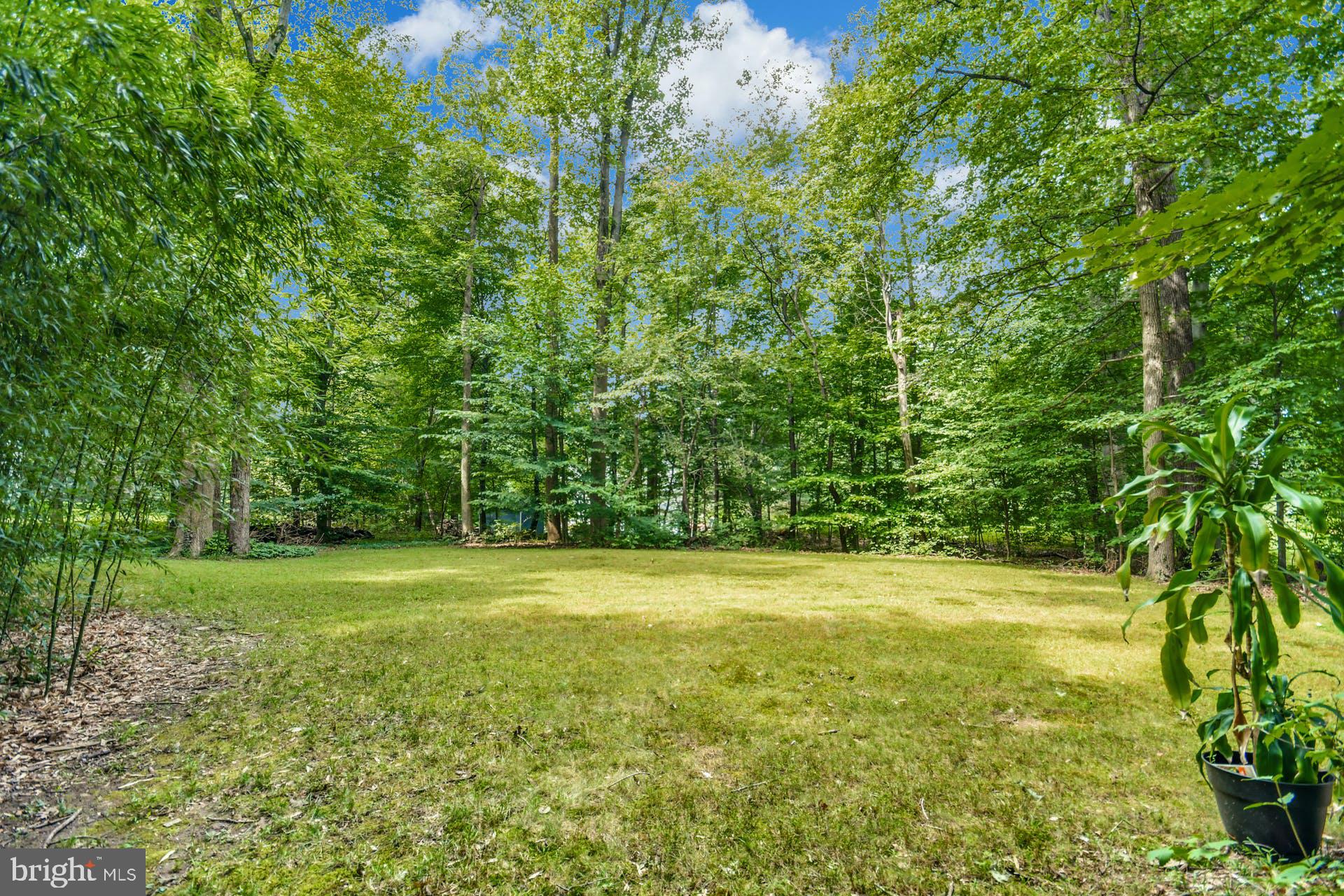 3836 Smoke Road Doylestown, PA 18902 - Photo 40 of 43 Gallery Image 40