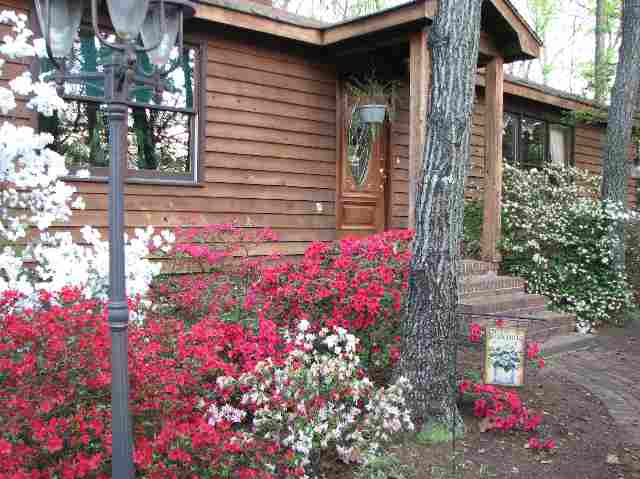 6 Walker Springs Road Taylors, SC 29687 - Photo 24 of 25 Gallery Image 24