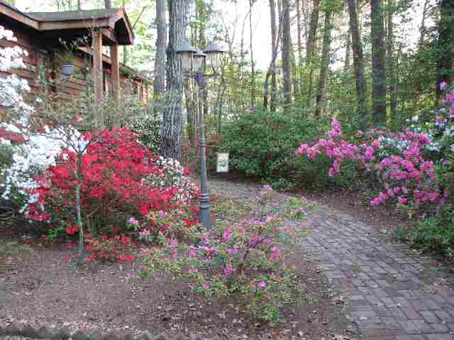 6 Walker Springs Road Taylors, SC 29687 - Photo 25 of 25 Gallery Image 25