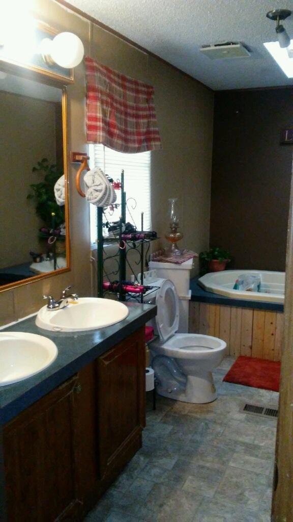 8006 Eva Road Luttrell, TN 37779 - Photo 5 of 8 evabath