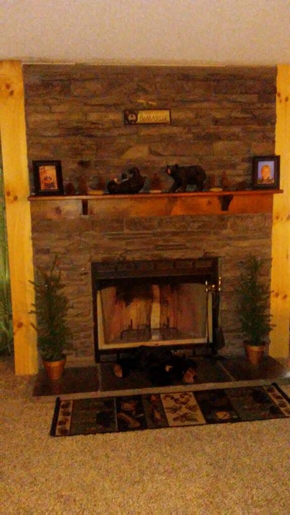 8006 Eva Road Luttrell, TN 37779 - Photo 6 of 8 evafire