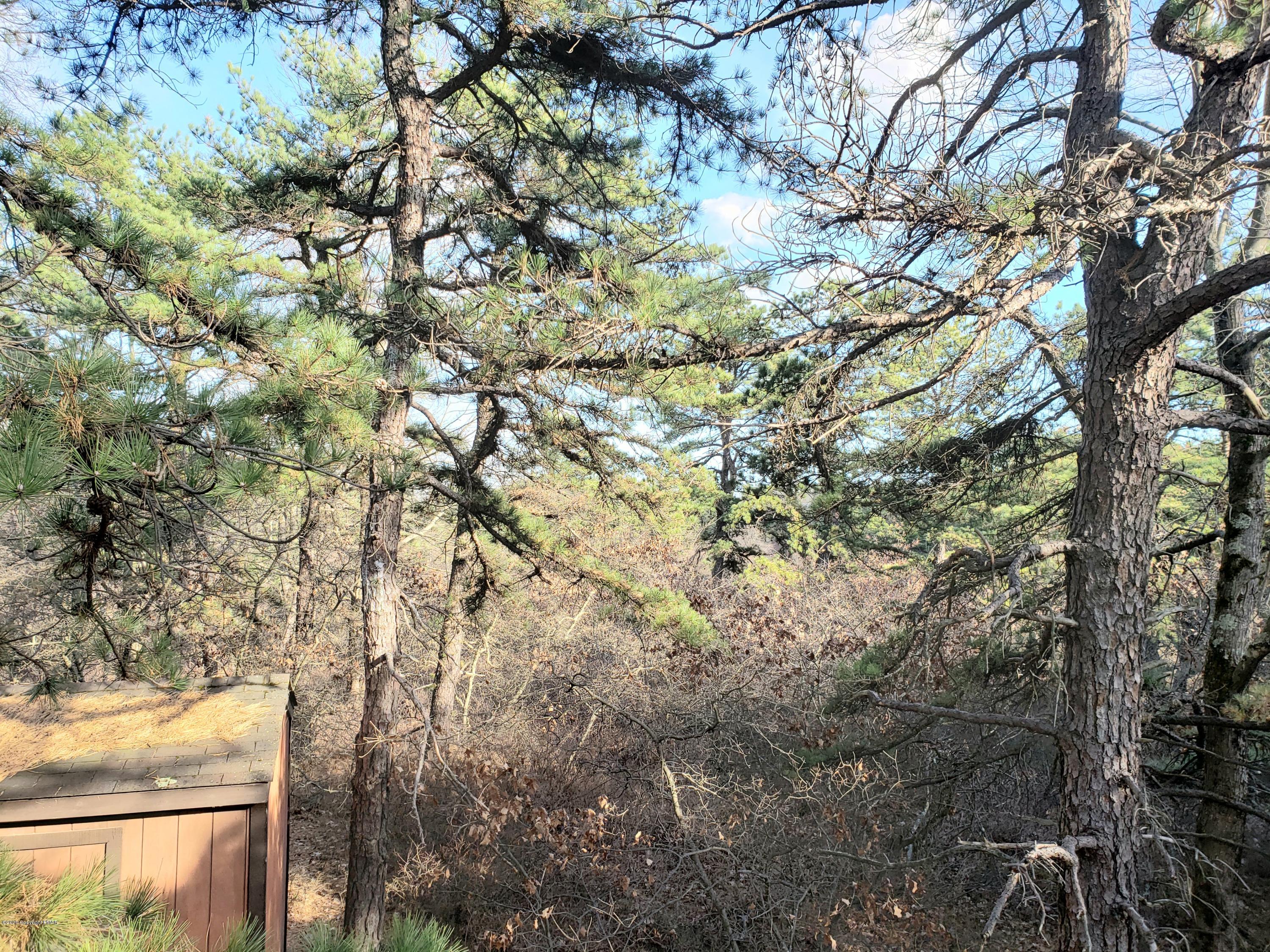 1437 Clover Road Long Pond, PA 18334 - Photo 29 of 38 a view of a tree in a yard