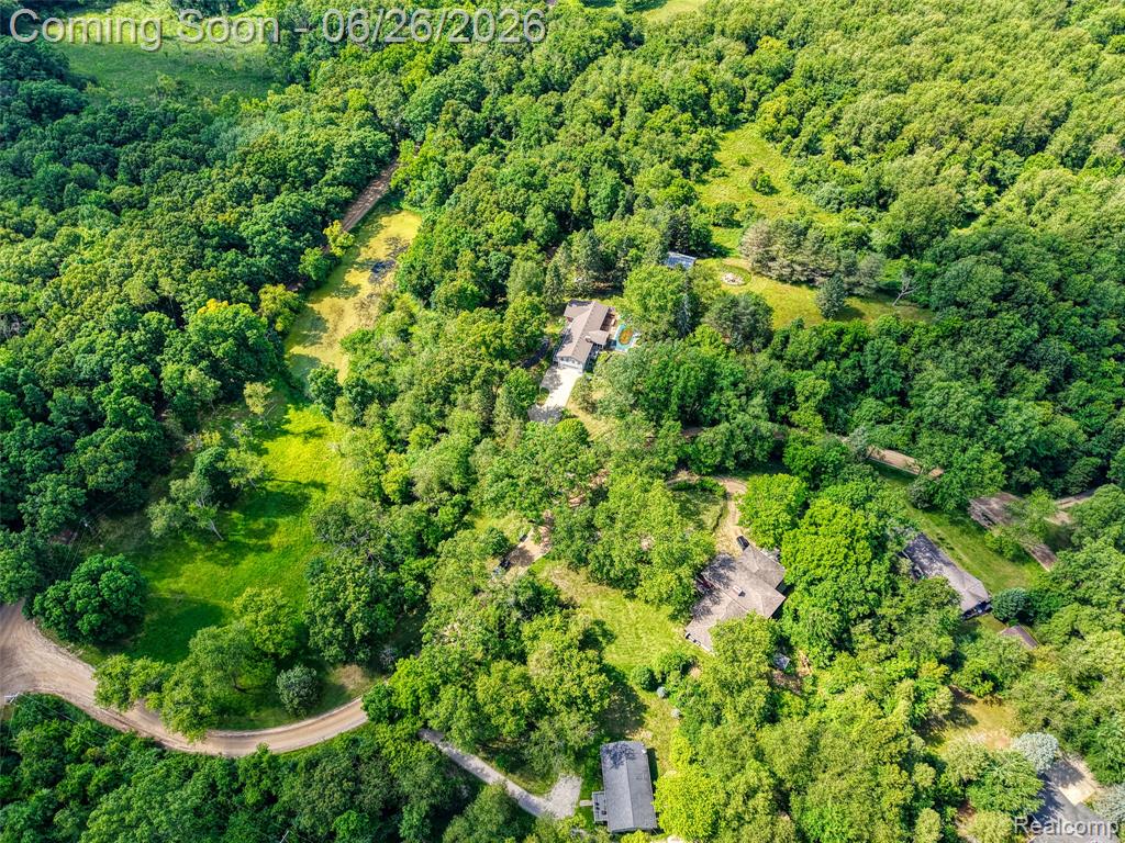 4200 Angels Pass Pinckney, MI 48169 - Photo 44 of 76