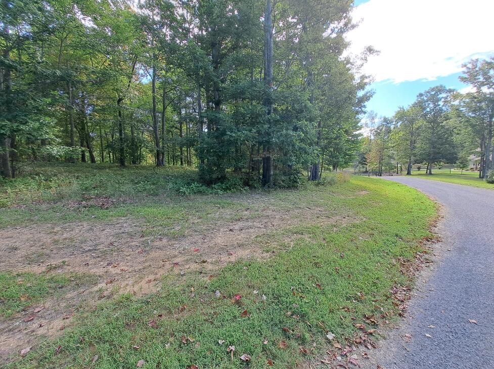 998 Roaring Creek Road, Unit LOT 297 Dunlap, TN 37327 - Photo 30 of 36