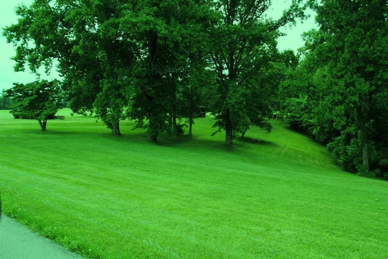 376 Ike Monhollen Road Corbin, KY 40701 - Photo 6 of 41 Photo 6