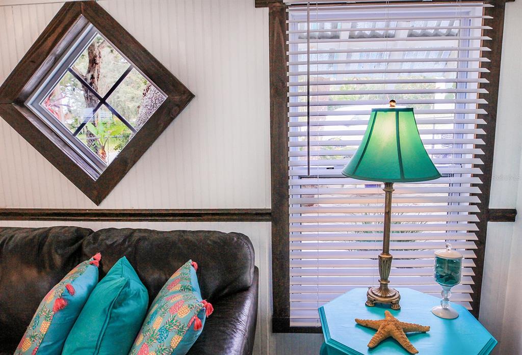 4380 Benview Avenue Weeki Wachee, FL 34607 - Photo 9 of 56 a living room with a couch and a potted plant