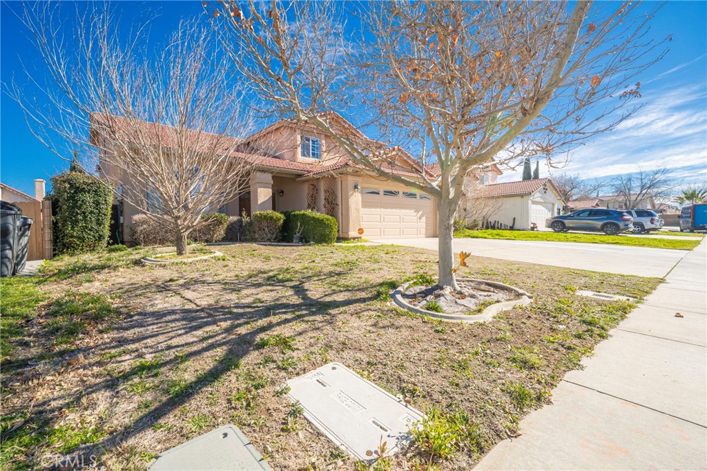 43922 Fallon Drive Lancaster, CA 93535 - Photo 6 of 36 a house with trees in front of it