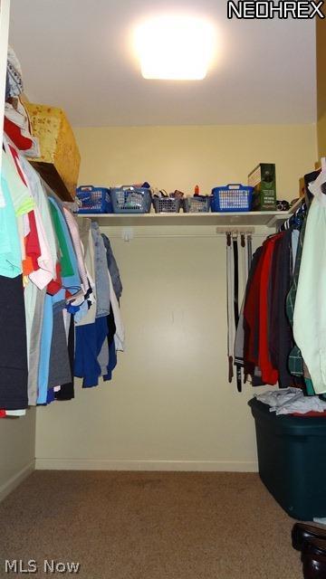 550 Overwood Road Akron, OH 44313 - Photo 14 of 22 WOW, what a closet!