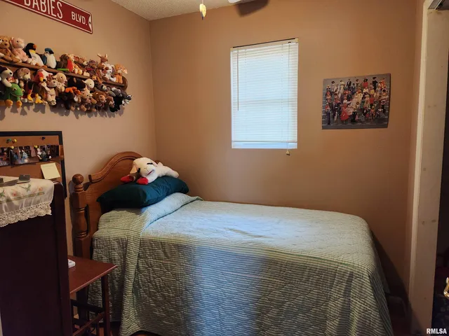 $285,000 | 15766 East Tilton Road, Ina, IL 62846