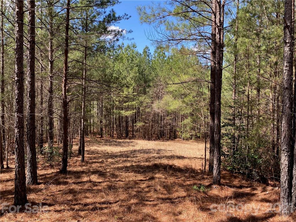 Tbd Tbd Contuck Ln Mill Spring, Unit 14 Mill Spring, NC 28756 - Photo 2 of 6 a view of yard with trees