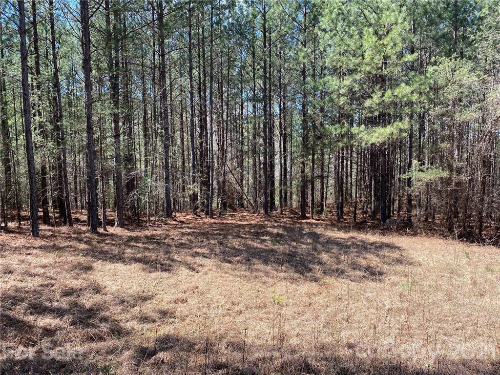 Tbd Tbd Contuck Ln Mill Spring, Unit 14 Mill Spring, NC 28756 - Photo 5 of 6 a view of a backyard with large trees