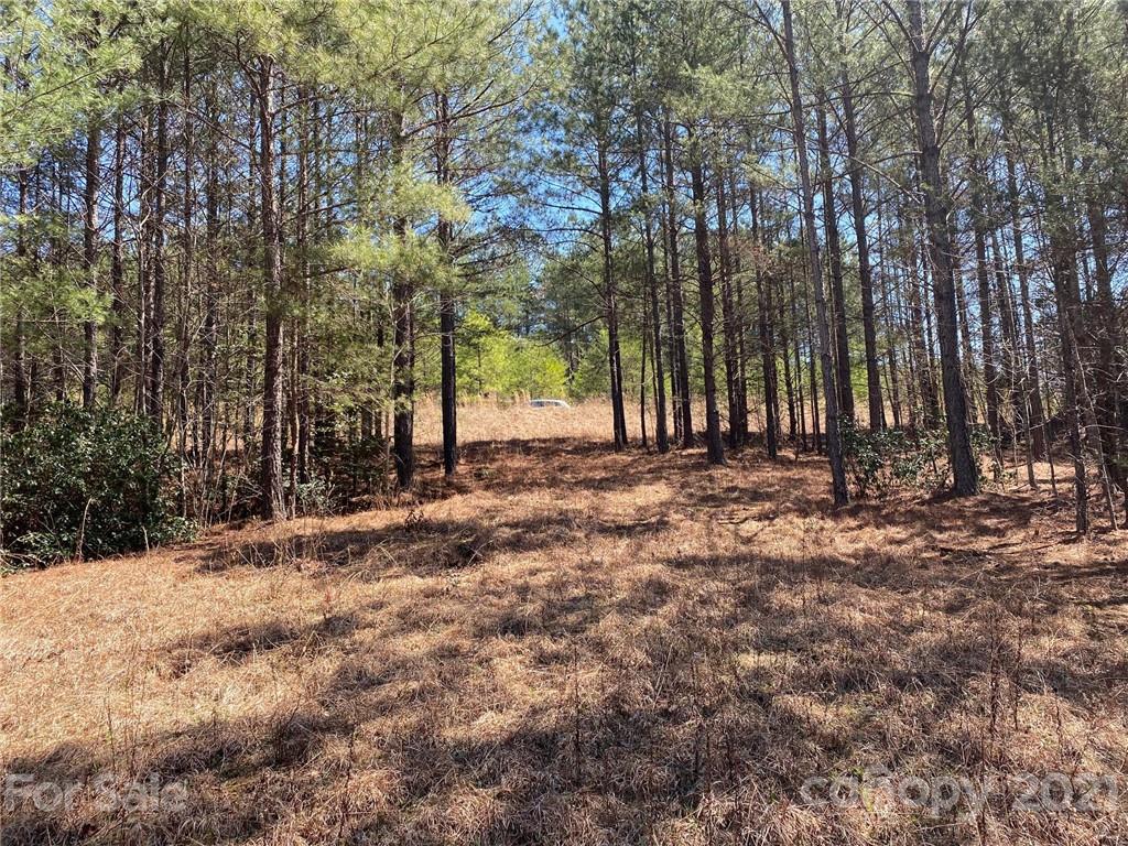 Tbd Tbd Contuck Ln Mill Spring, Unit 14 Mill Spring, NC 28756 - Photo 6 of 6 a view of outdoor space with deck and trees
