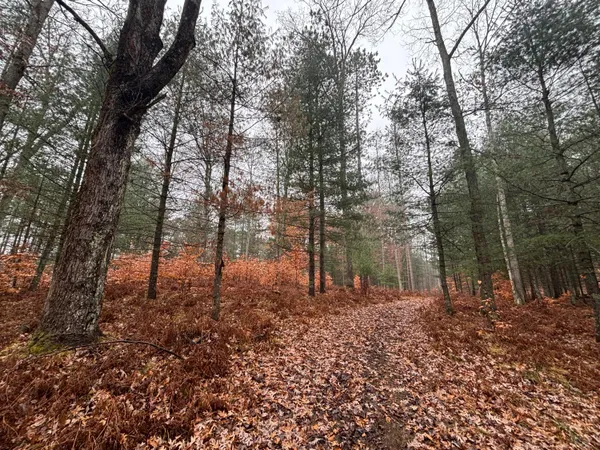 $139,900 | 6270 Woods Trail, Custer, MI 49405