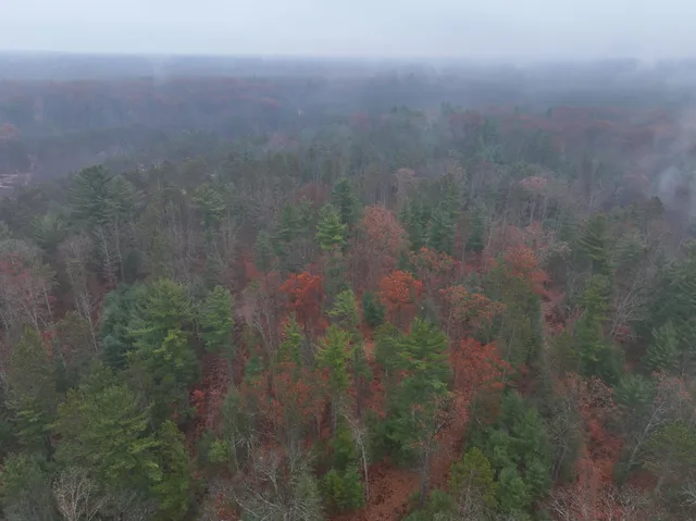 $139,900 | 6270 Woods Trail, Custer, MI 49405