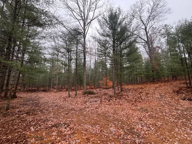 $139,900 | 6270 Woods Trail, Custer, MI 49405