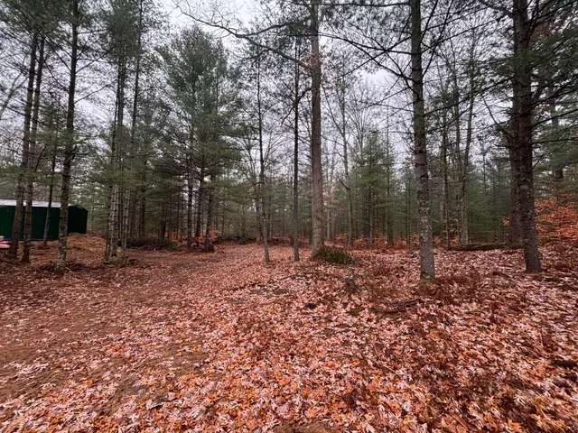 $139,900 | 6270 Woods Trail, Custer, MI 49405