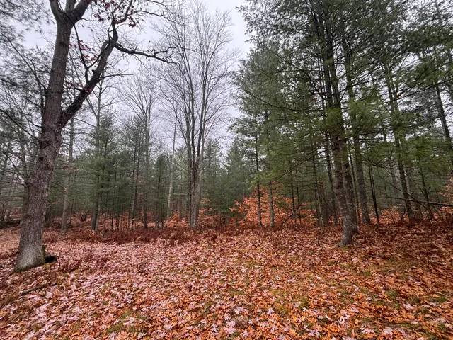 $139,900 | 6270 Woods Trail, Custer, MI 49405