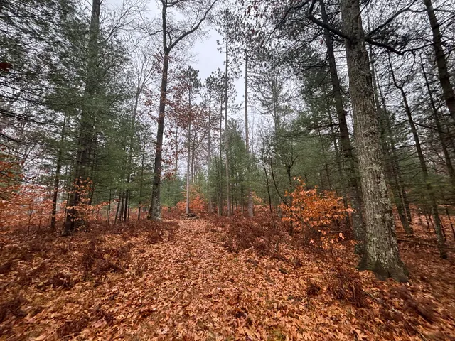 $139,900 | 6270 Woods Trail, Custer, MI 49405