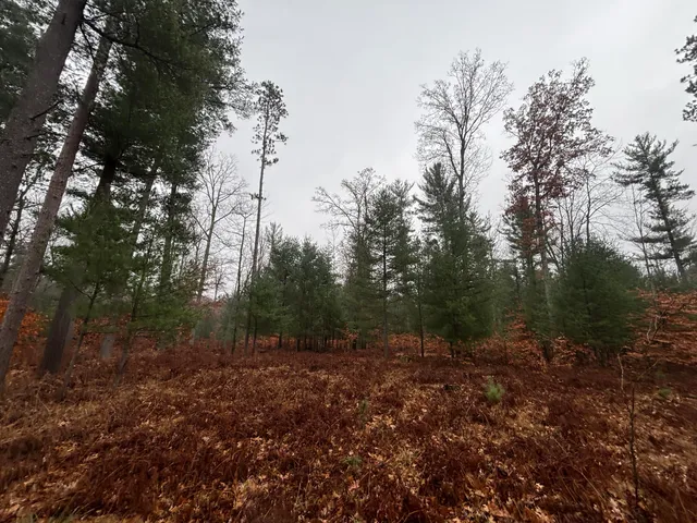 $139,900 | 6270 Woods Trail, Custer, MI 49405