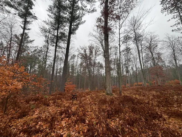 $139,900 | 6270 Woods Trail, Custer, MI 49405