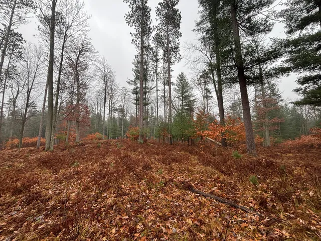 $139,900 | 6270 Woods Trail, Custer, MI 49405