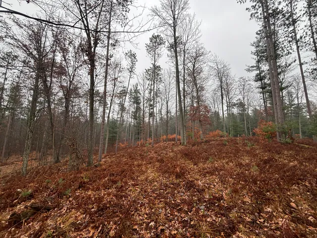 $139,900 | 6270 Woods Trail, Custer, MI 49405