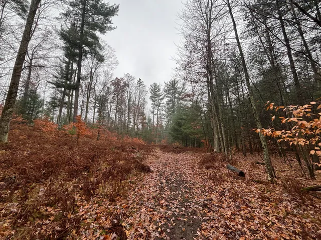 $139,900 | 6270 Woods Trail, Custer, MI 49405