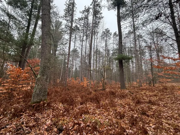 $139,900 | 6270 Woods Trail, Custer, MI 49405